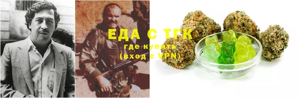 PSILOCYBIN Алзамай