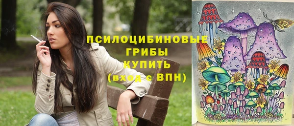 PSILOCYBIN Алзамай