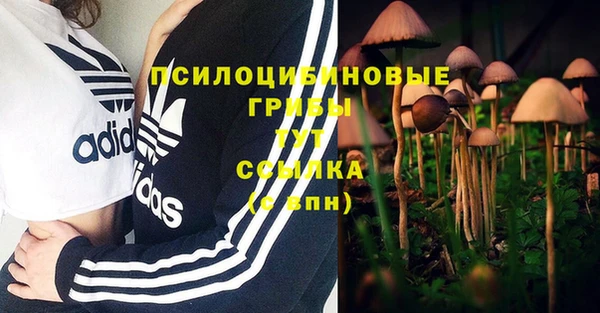 PSILOCYBIN Алзамай