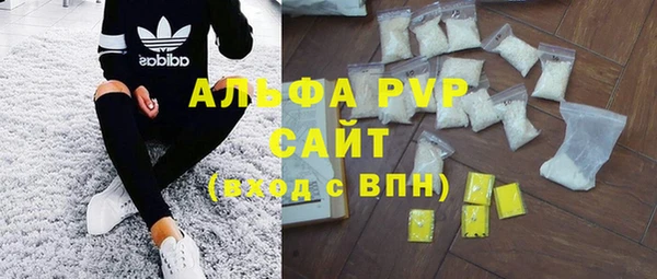 PSILOCYBIN Алзамай