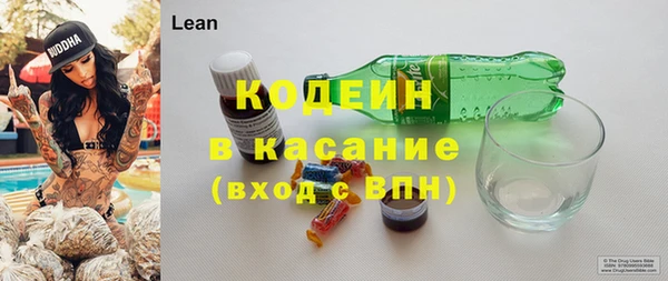 PSILOCYBIN Алзамай