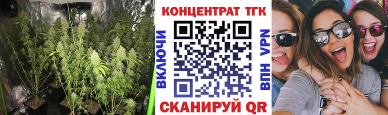 Купить где  Городовиковск  ТГК вейп 